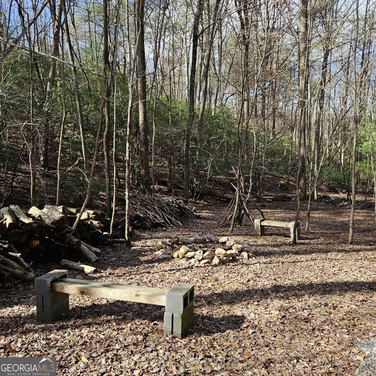 250 Crow Top Mountain Blue Ridge - 88
