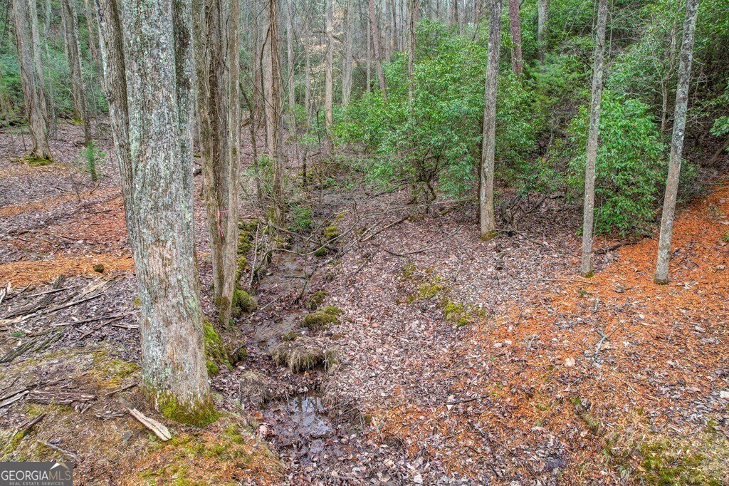 250 Crow Top Mountain Blue Ridge - 9