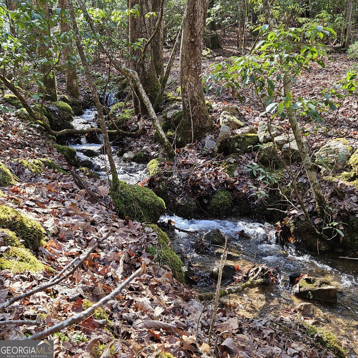 250 Crow Top Mountain Blue Ridge - 90