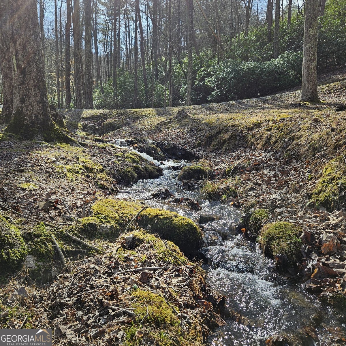 250 Crow Top Mountain Blue Ridge - 91
