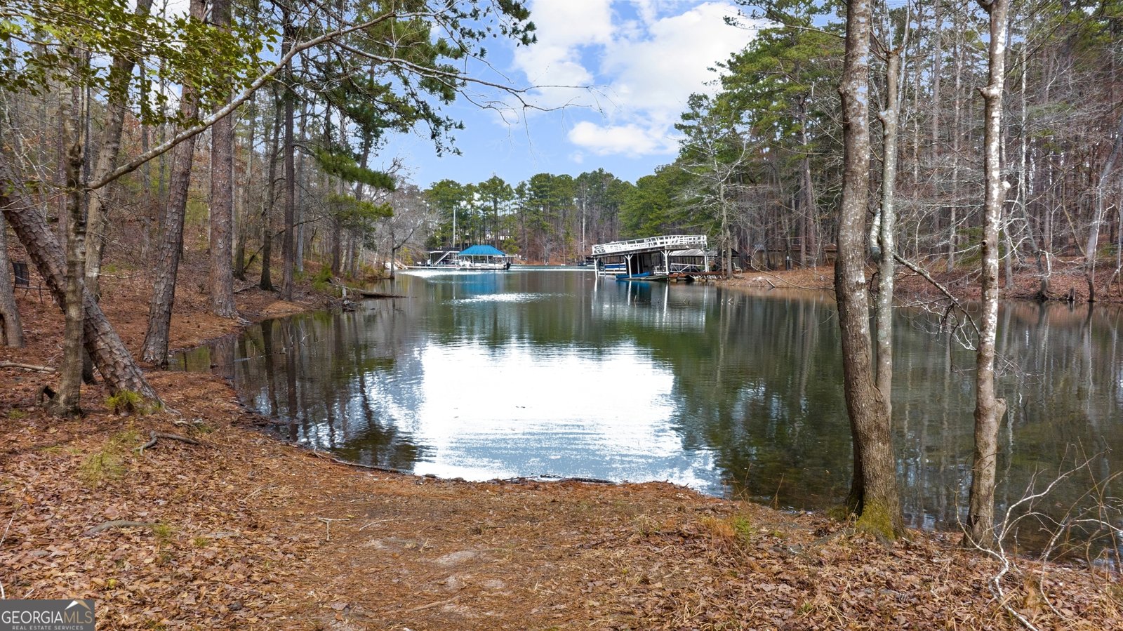 6451 Crest Brook Way Buford - 54