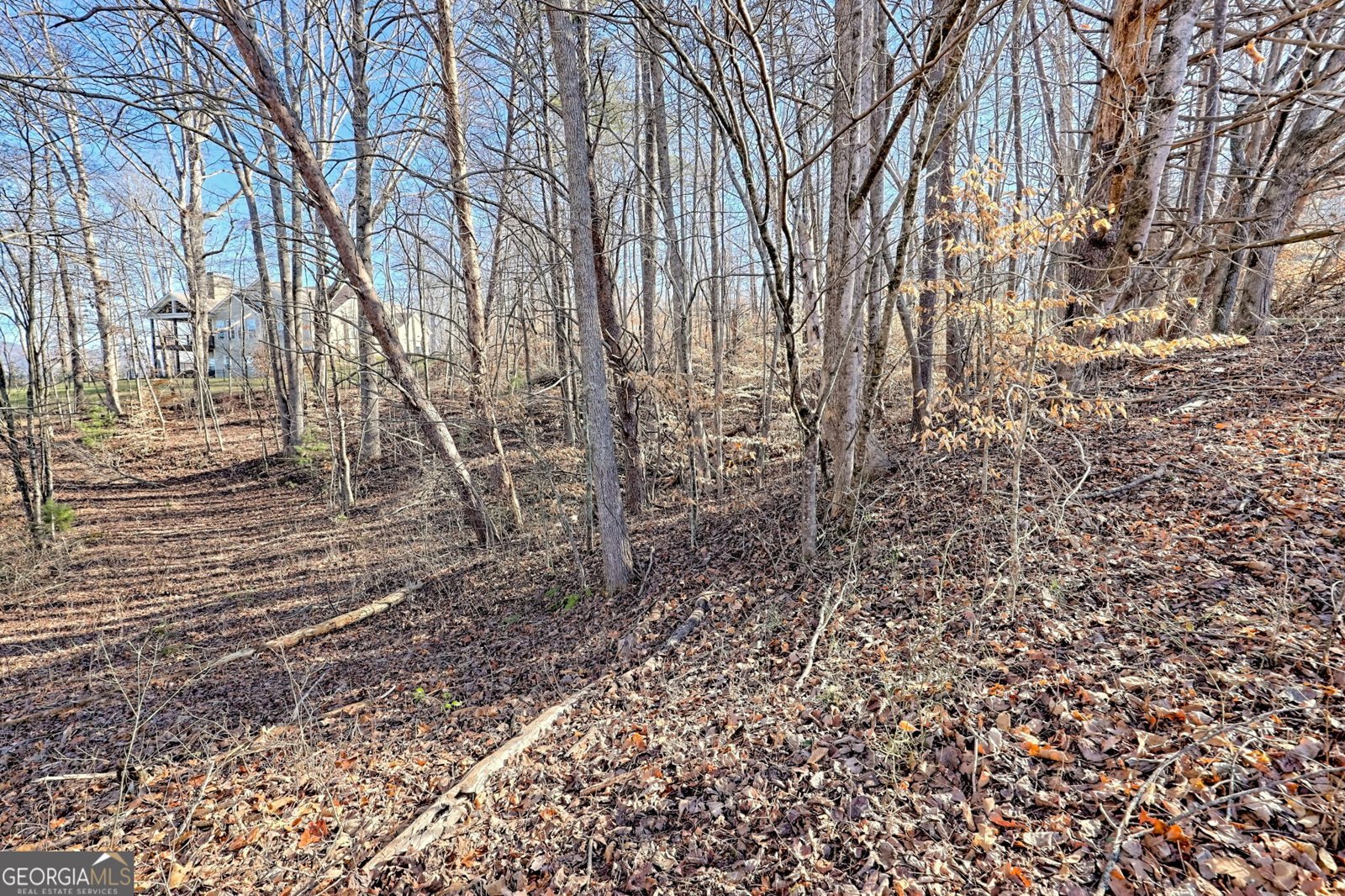 888 Reserve Road Blairsville - 91