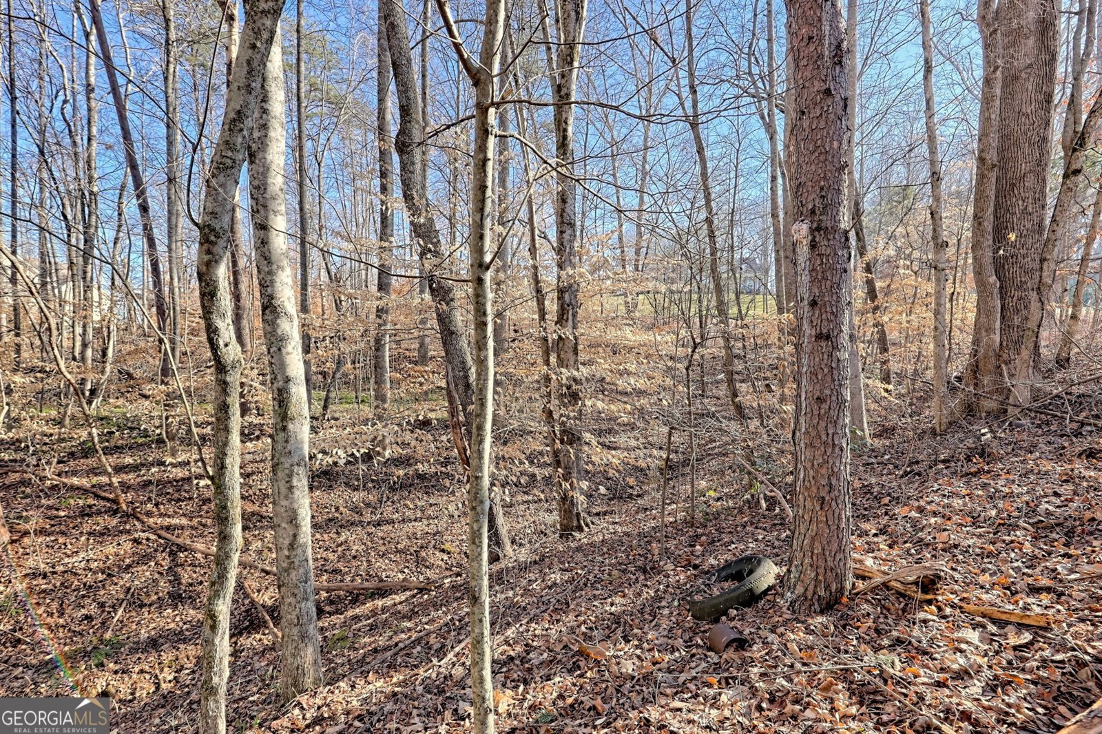 888 Reserve Road Blairsville - 92