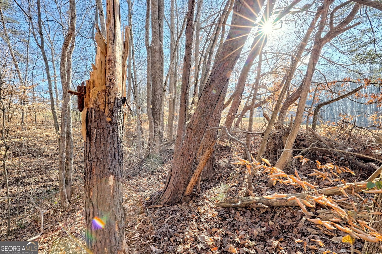 888 Reserve Road Blairsville - 93