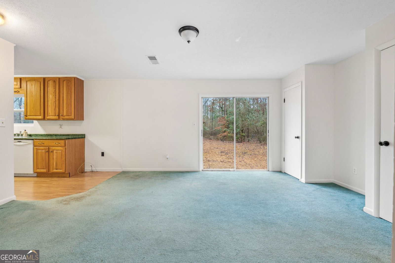 92 Camellia Drive Forsyth - 10
