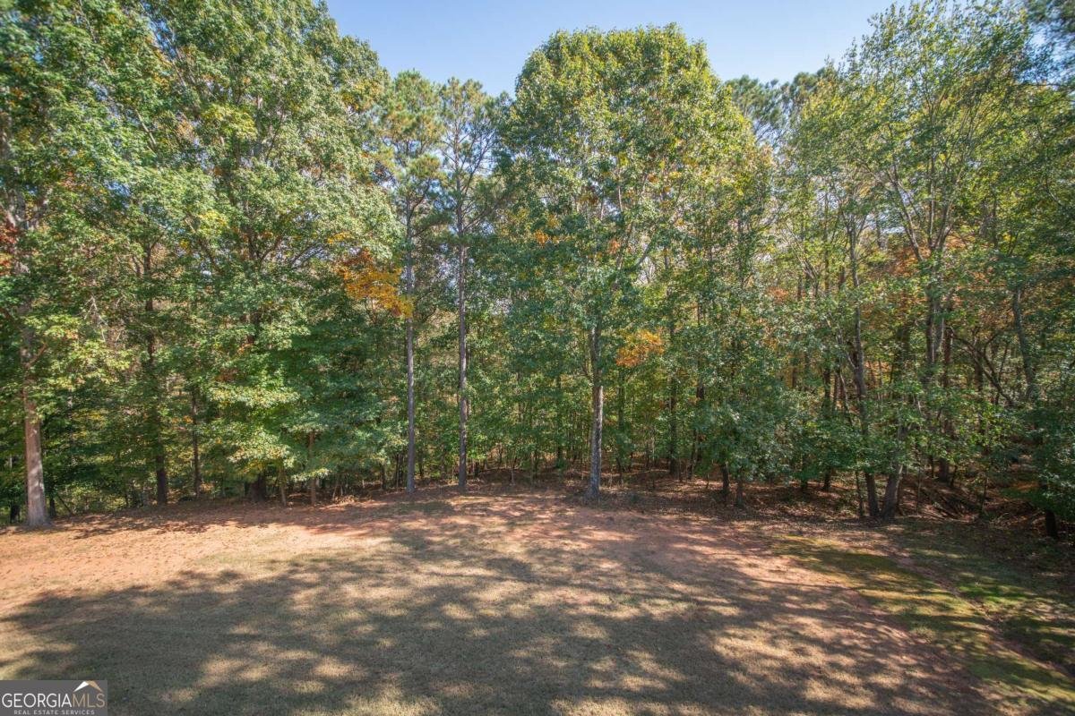 1221 Knob Creek Drive Athens - 41