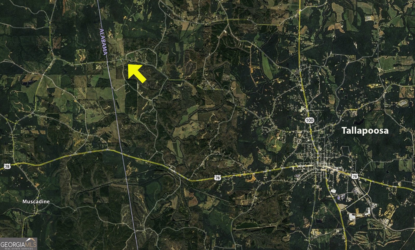 897 George Green Road Tallapoosa - 11