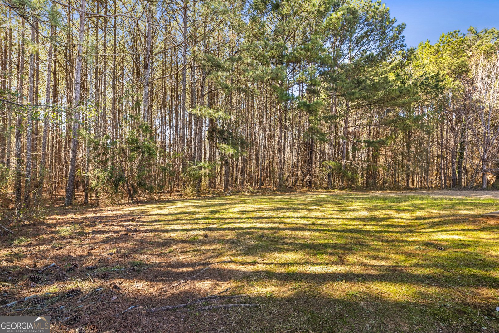 100 Windmeadow Way Fayetteville - 41