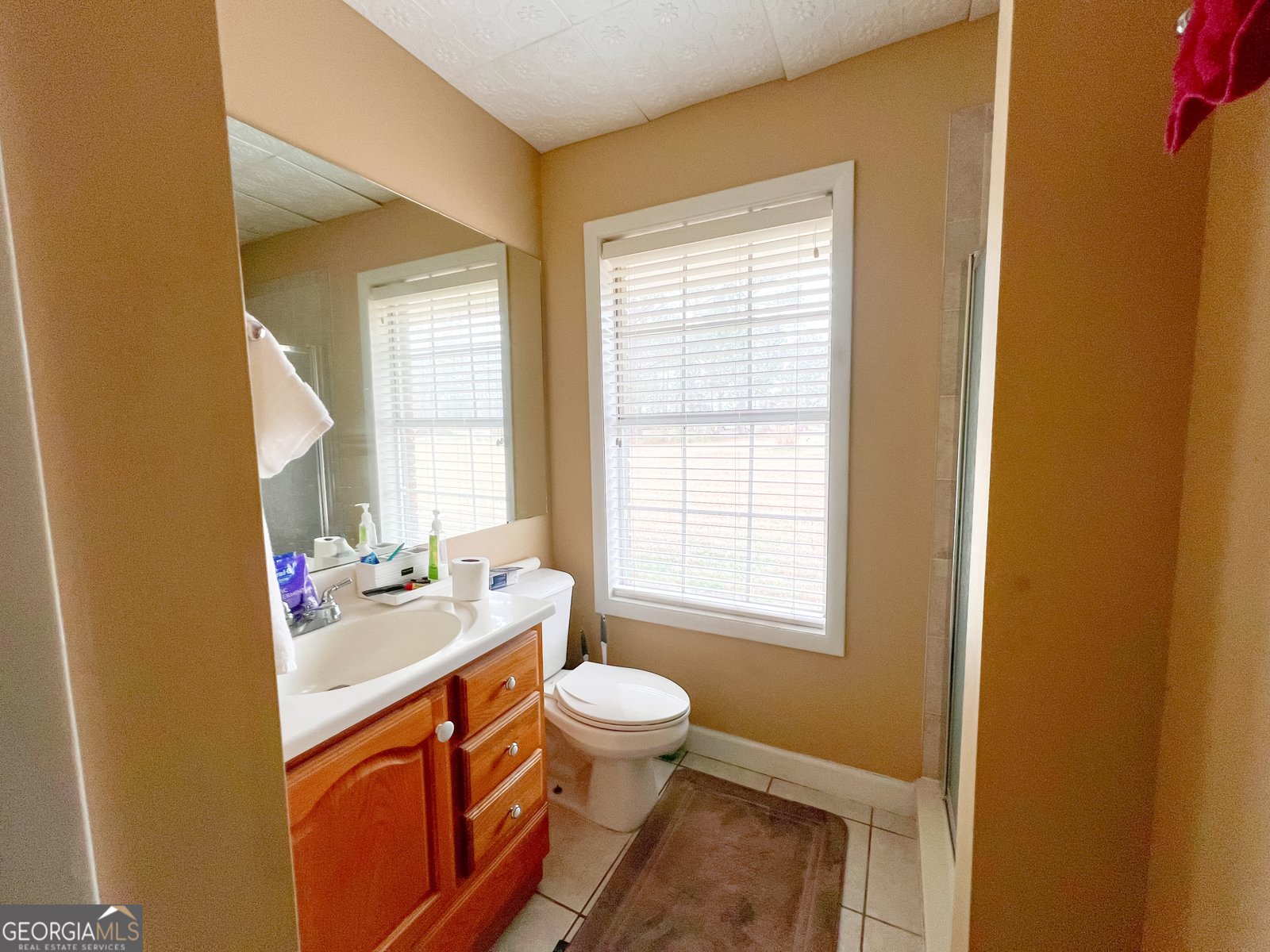 2115 Blackshear Highway Baxley - 23