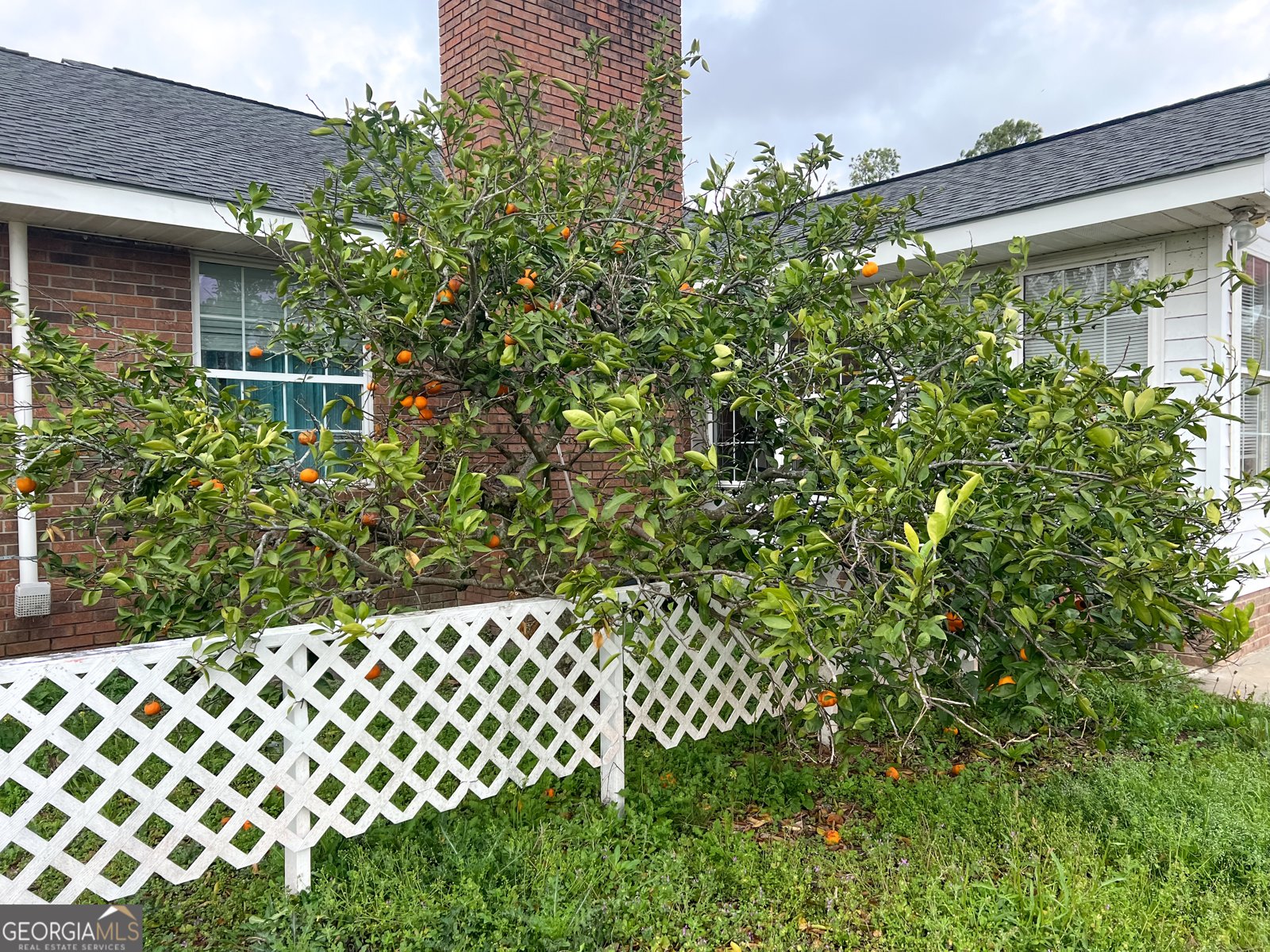 2115 Blackshear Highway Baxley - 27