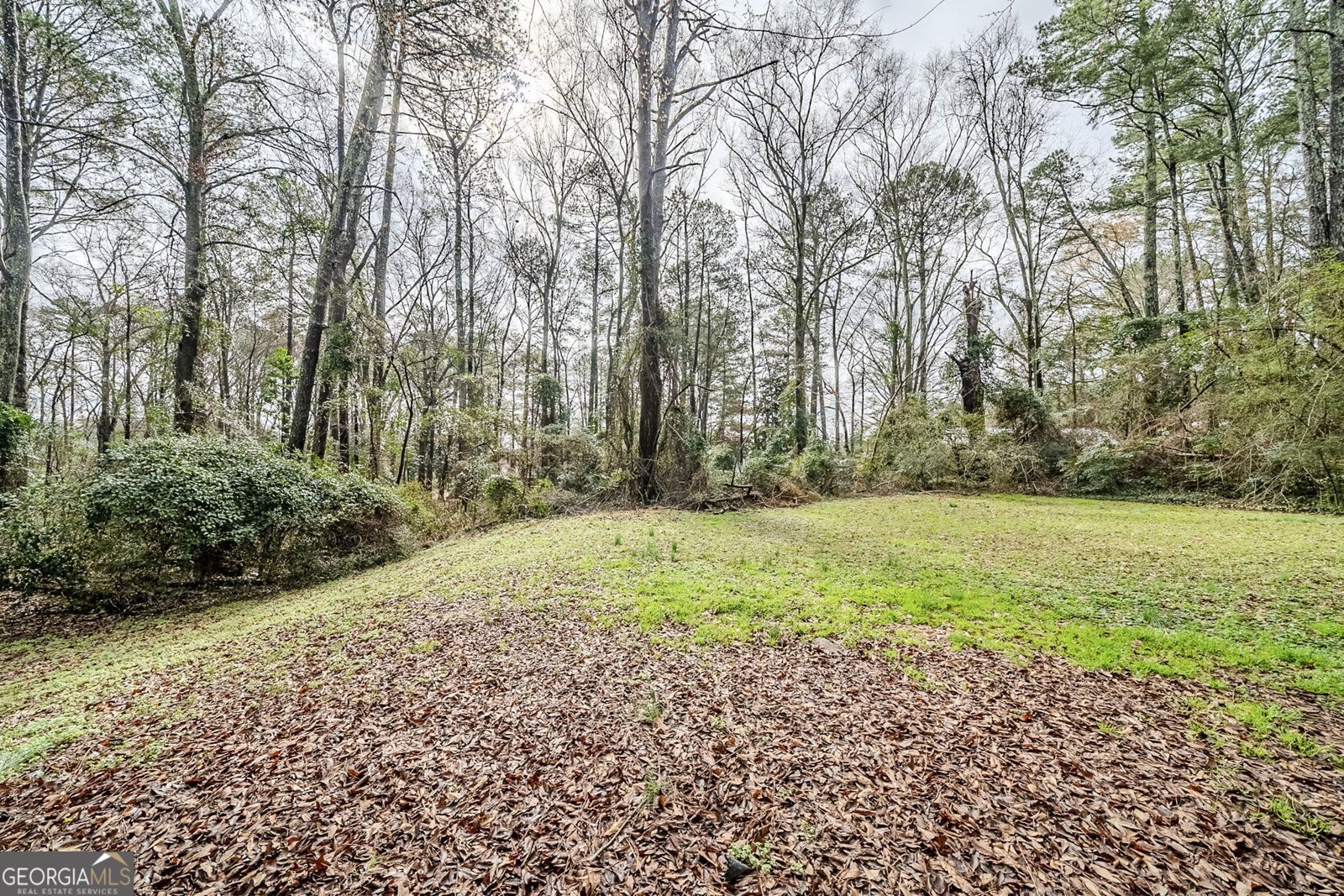 1838 Nicole Lane Lithonia - 32