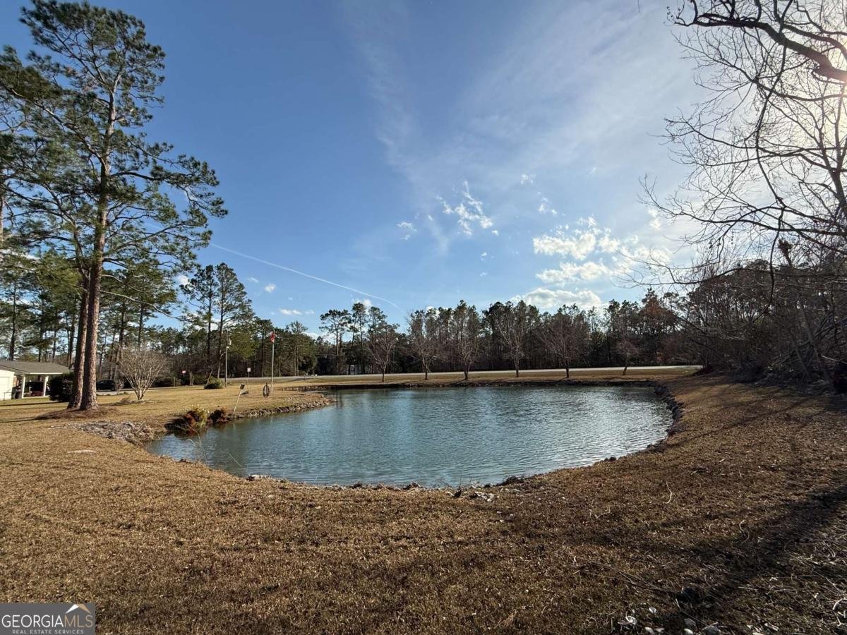 5686 Golden Isle W Baxley - 10