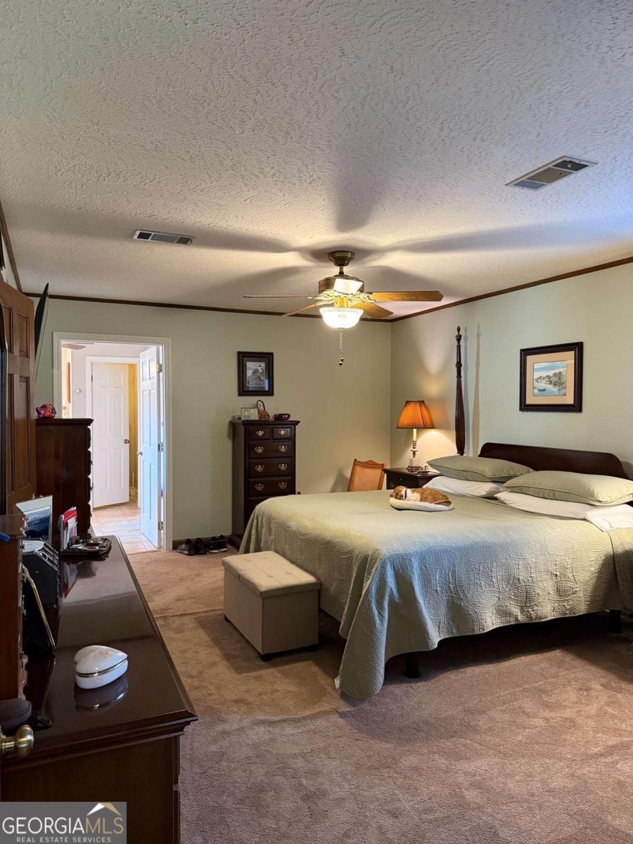 5686 Golden Isle W Baxley - 29