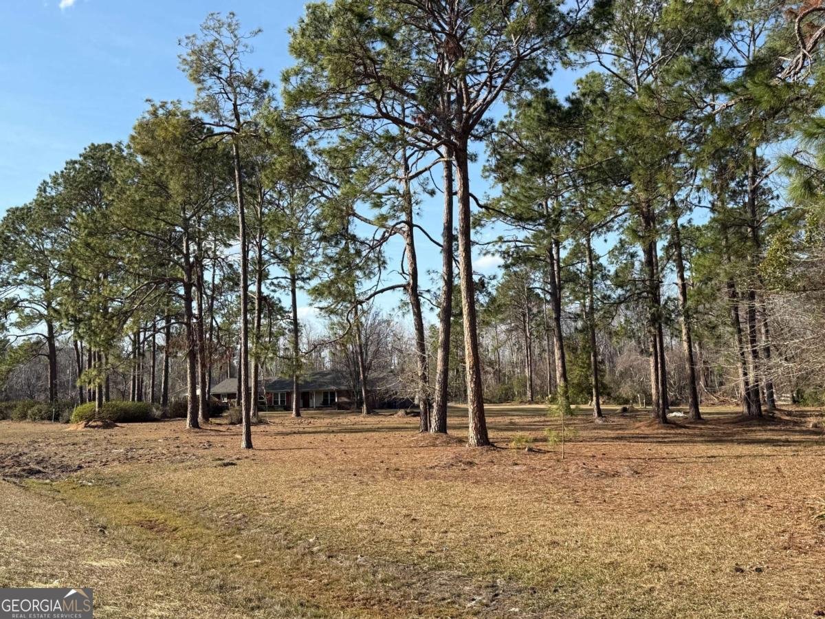 5686 Golden Isle W Baxley - 5
