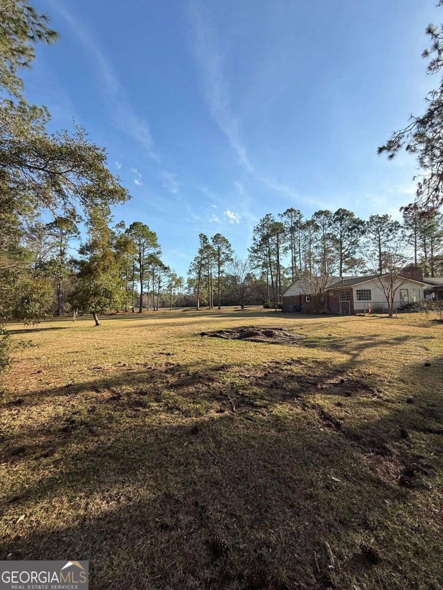 5686 Golden Isle W Baxley - 53
