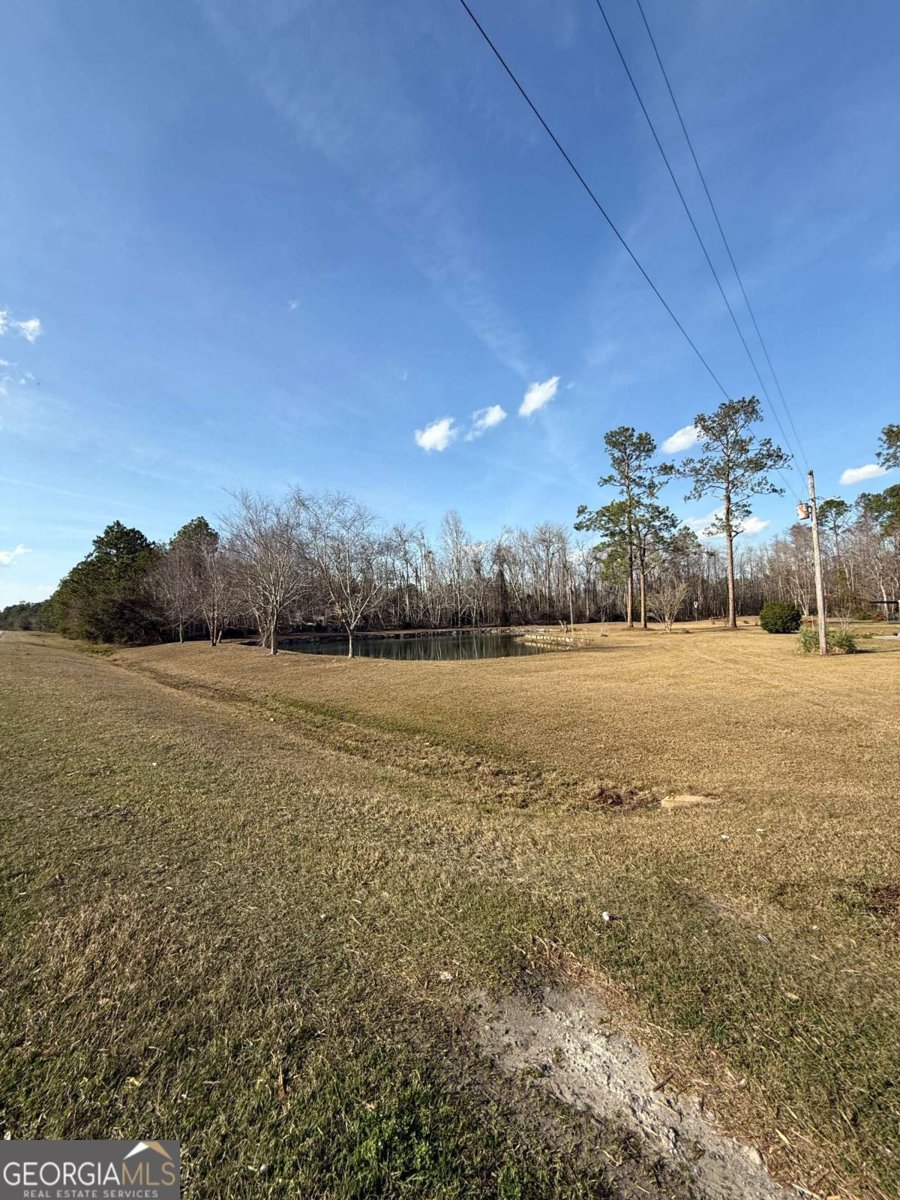 5686 Golden Isle W Baxley - 6