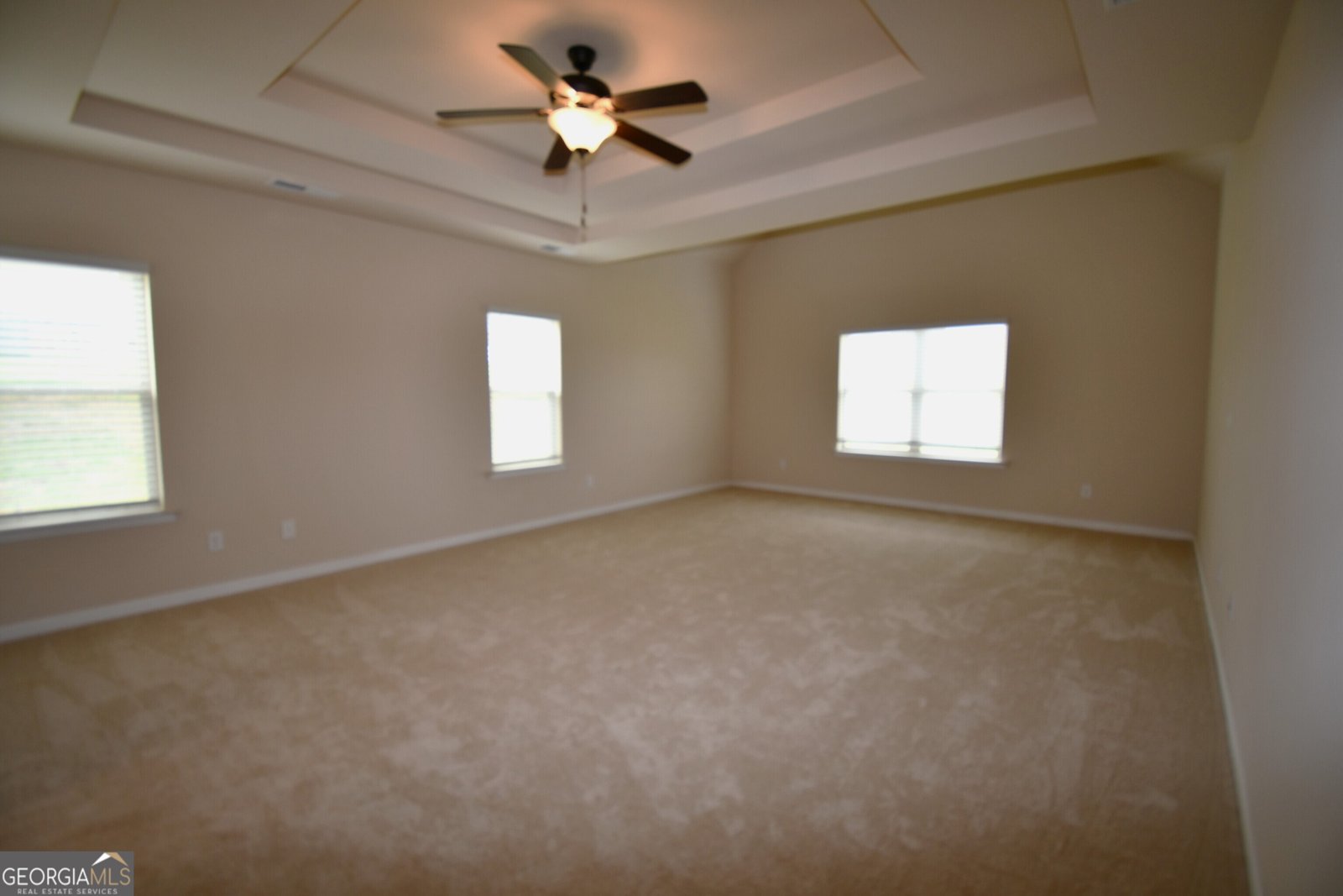175 Osier Drive McDonough - 11