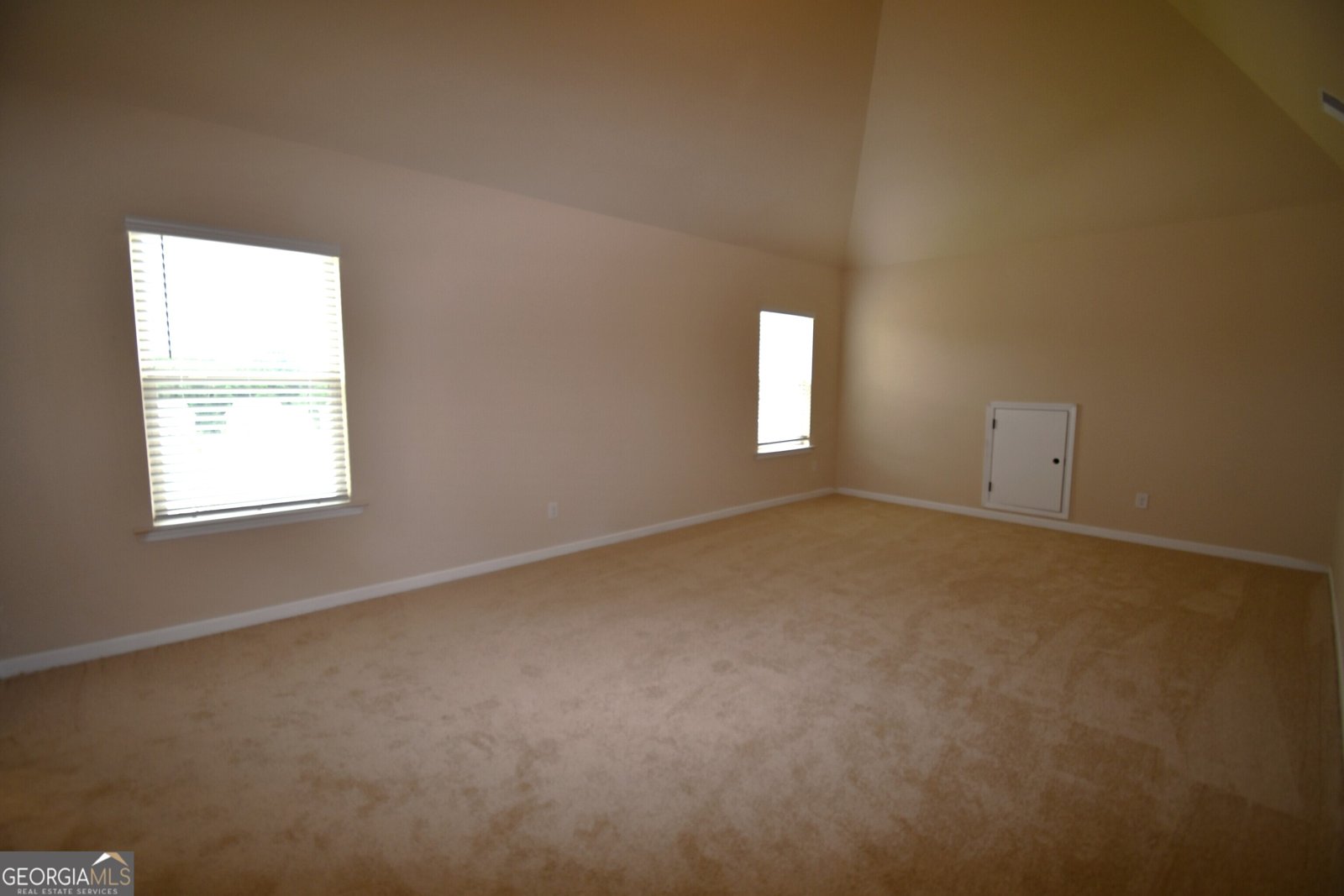 175 Osier Drive McDonough - 18