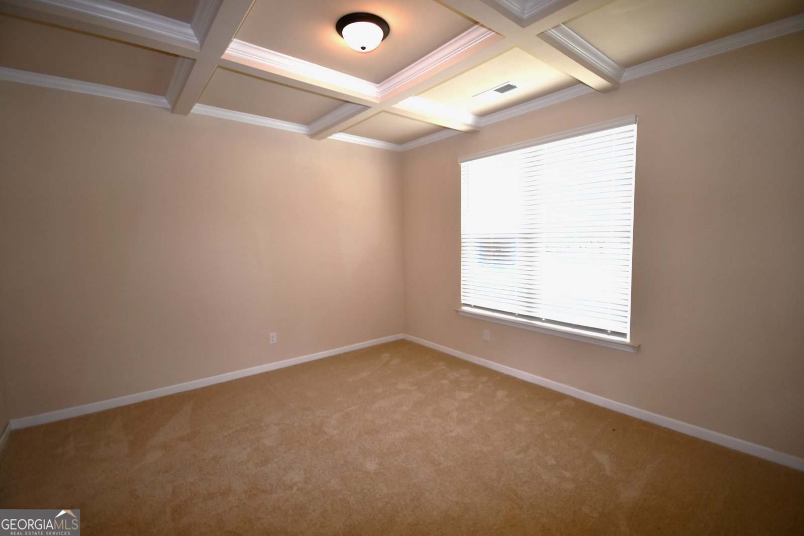 175 Osier Drive McDonough - 5