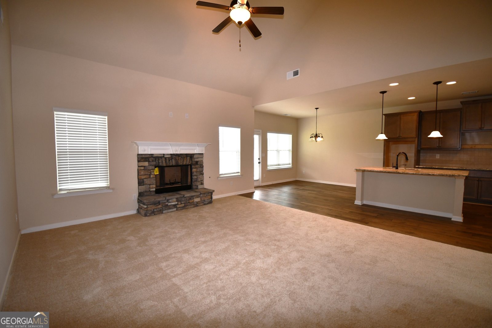 175 Osier Drive McDonough - 9