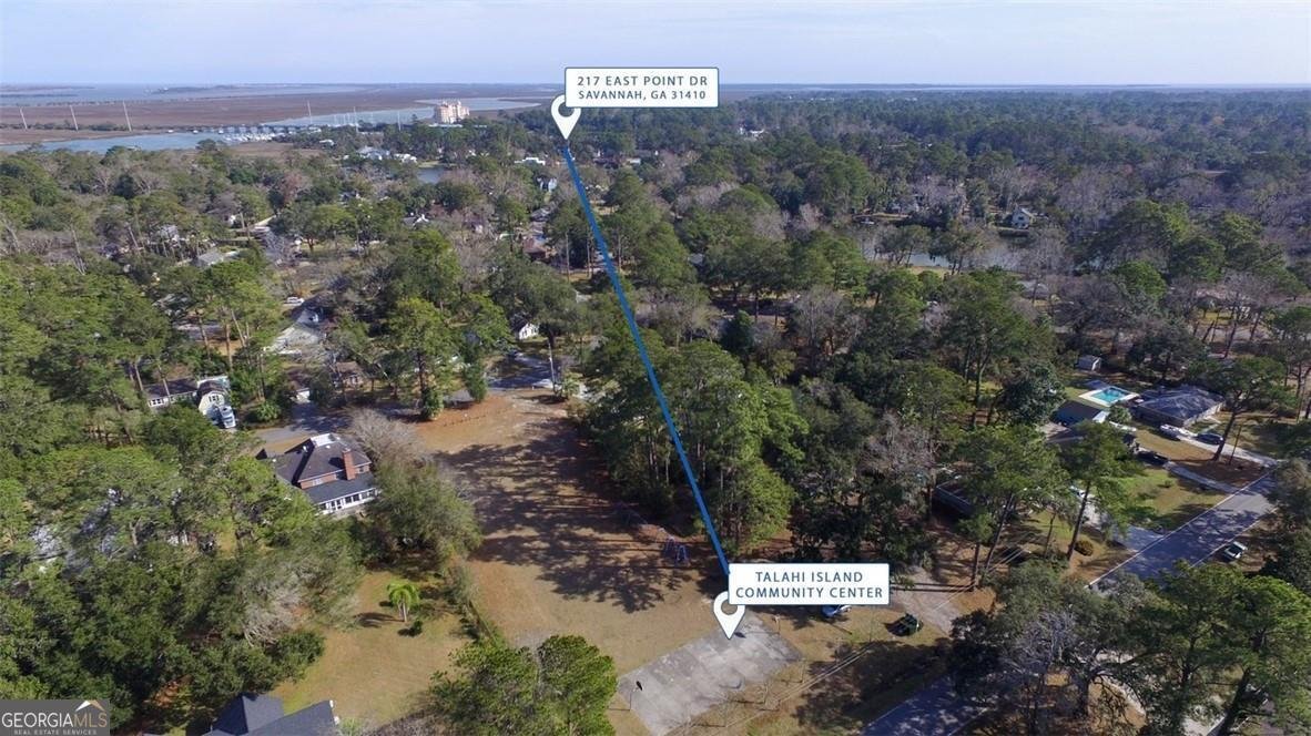217 Point Drive Savannah - 37