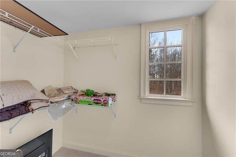 5861 Yoshino Cherry Lane Braselton - 48