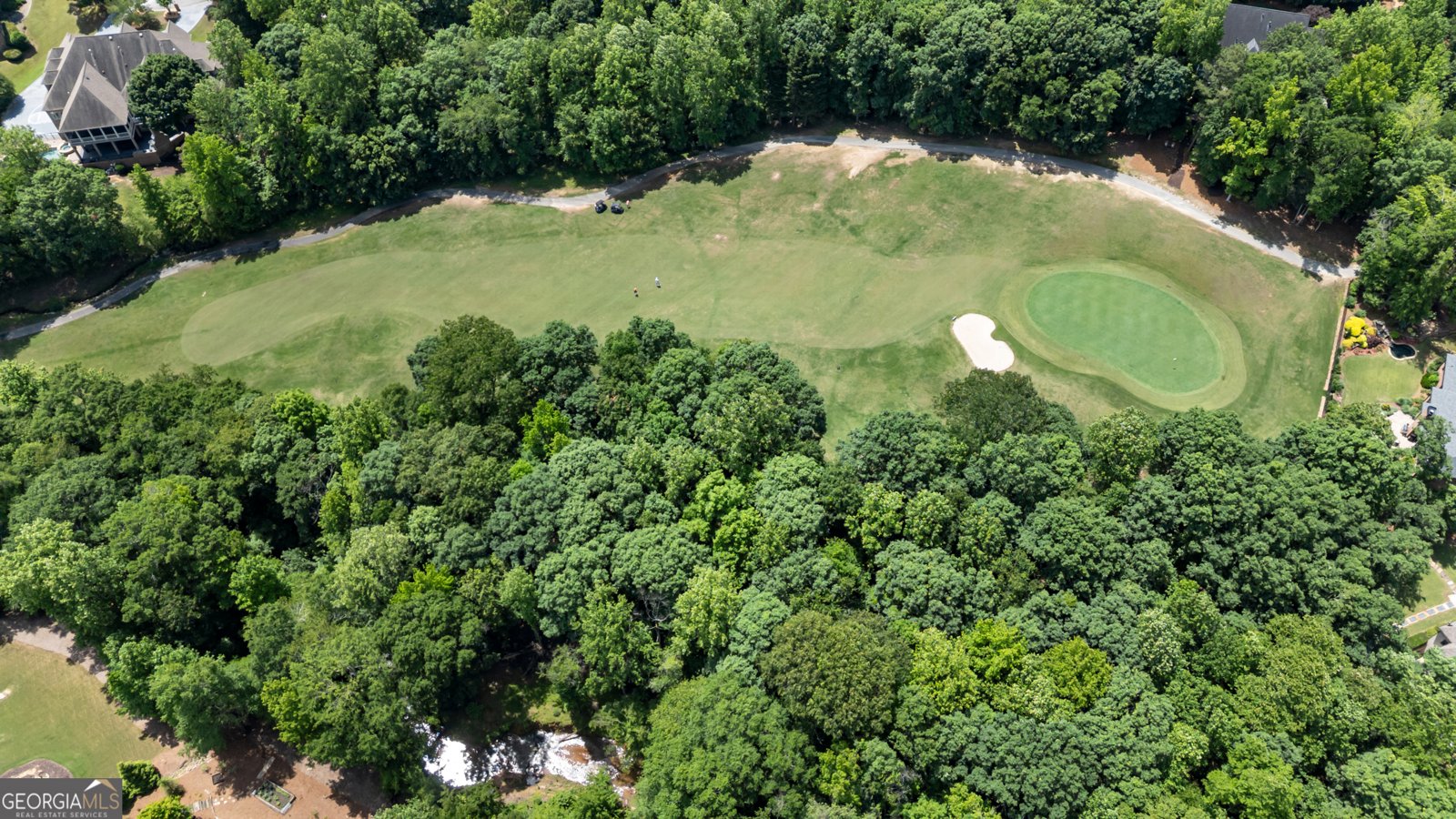5861 Yoshino Cherry Lane Braselton - 96