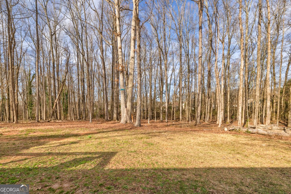 8238 Jackson Trail Road Hoschton - 10