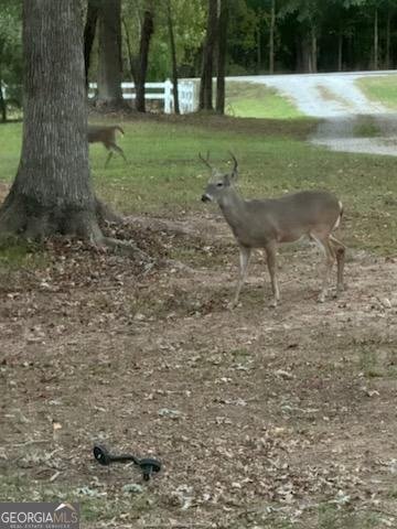 8238 Jackson Trail Road Hoschton - 47