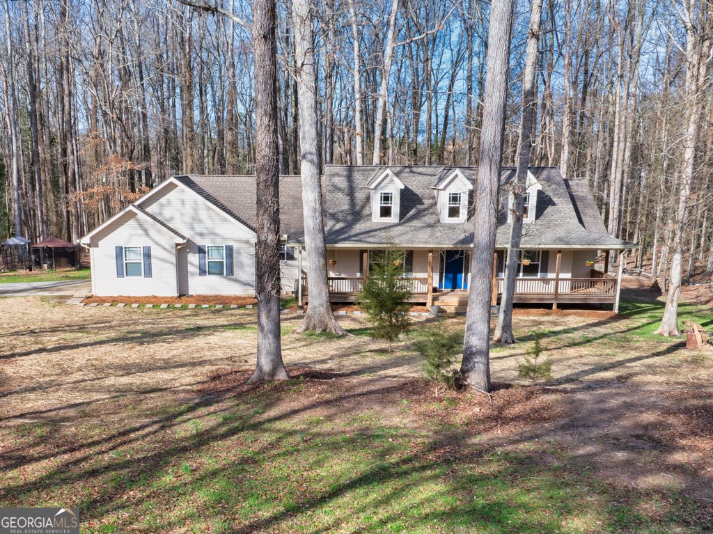 8238 Jackson Trail Road Hoschton - 53