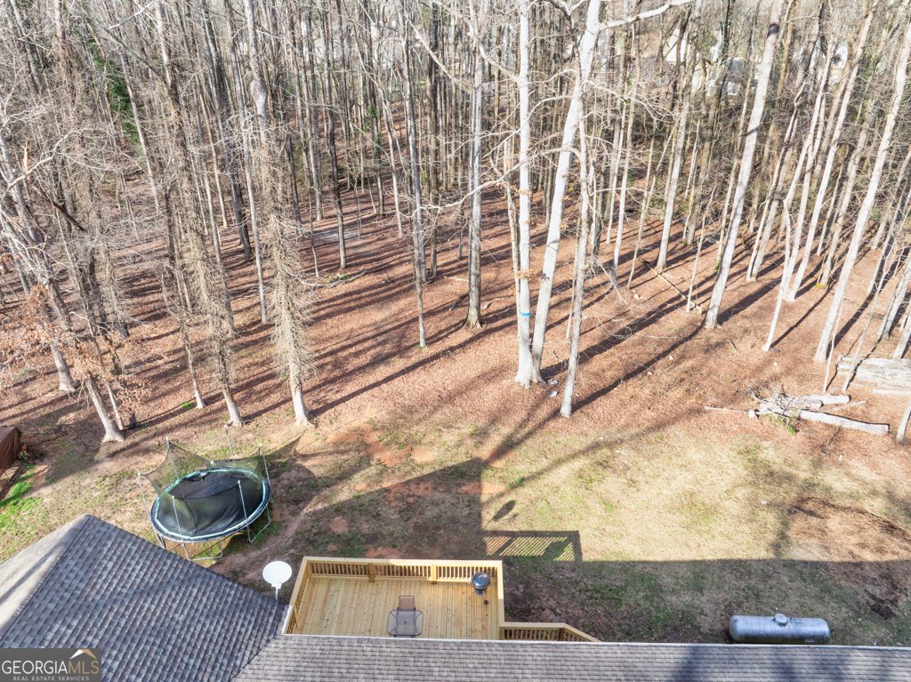 8238 Jackson Trail Road Hoschton - 54