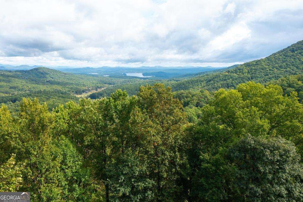 251 Ridge Circle Blue Ridge - 3