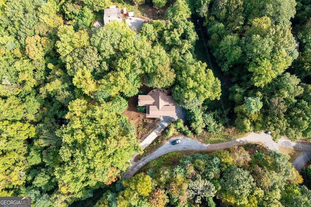 251 Ridge Circle Blue Ridge - 4