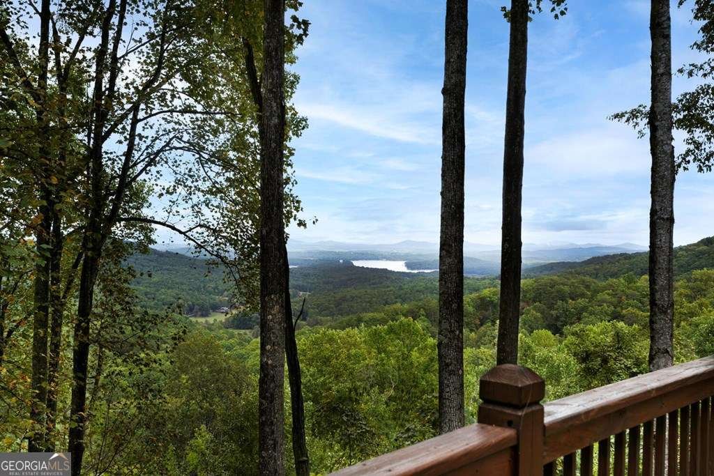 251 Ridge Circle Blue Ridge - 9