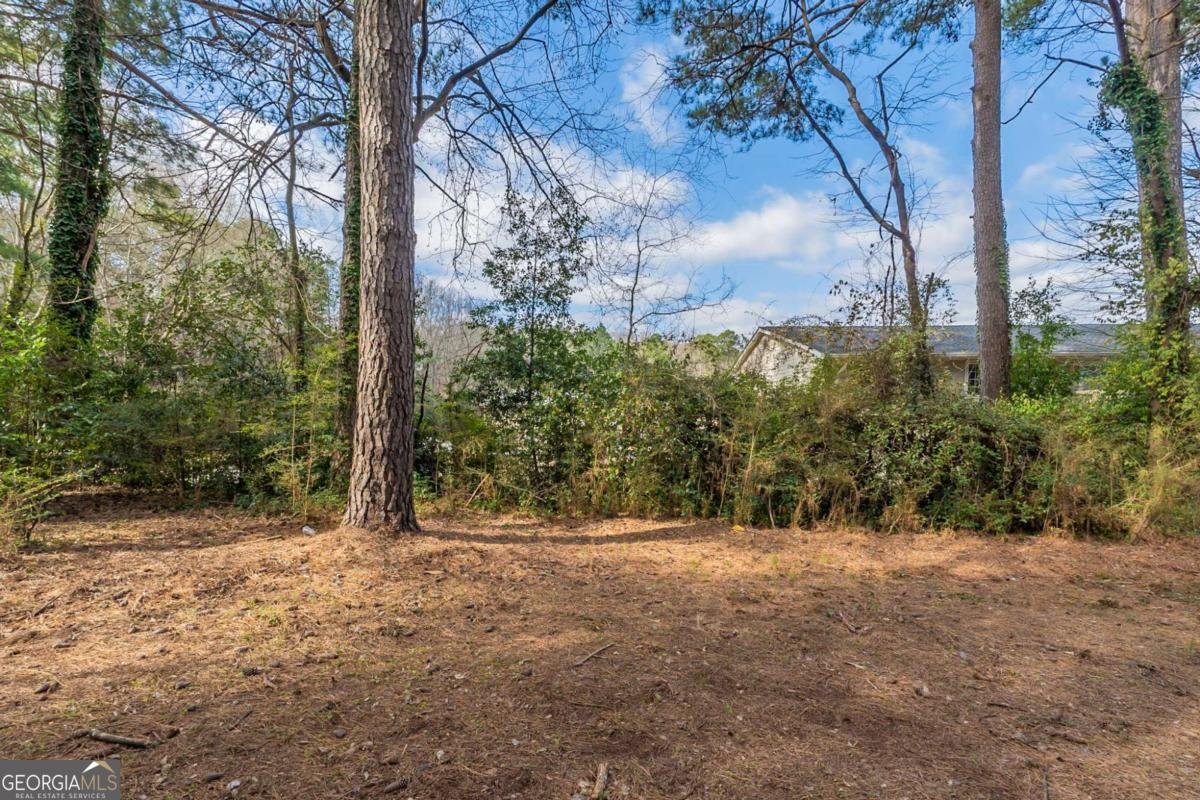 3881 Bonnie Lane Atlanta - 21