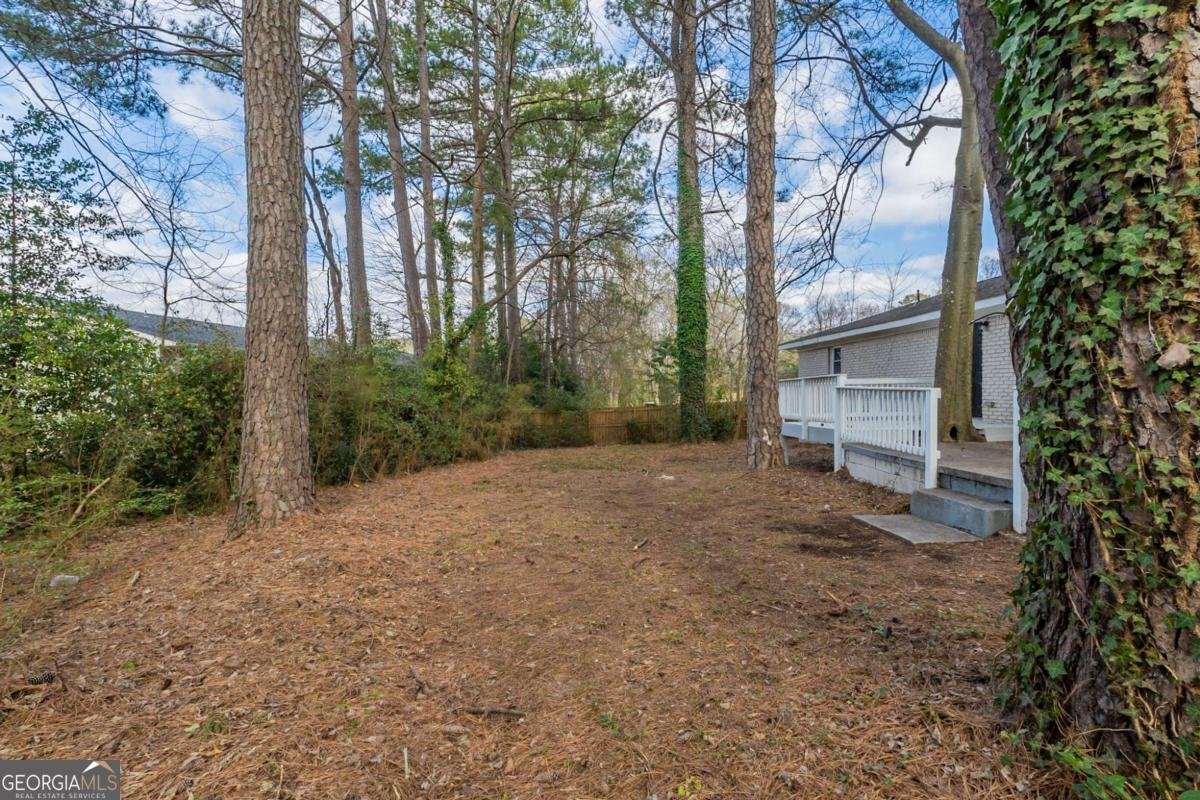 3881 Bonnie Lane Atlanta - 22