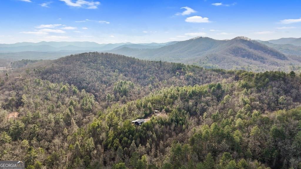 643 White Pine Road Mccaysville - 1