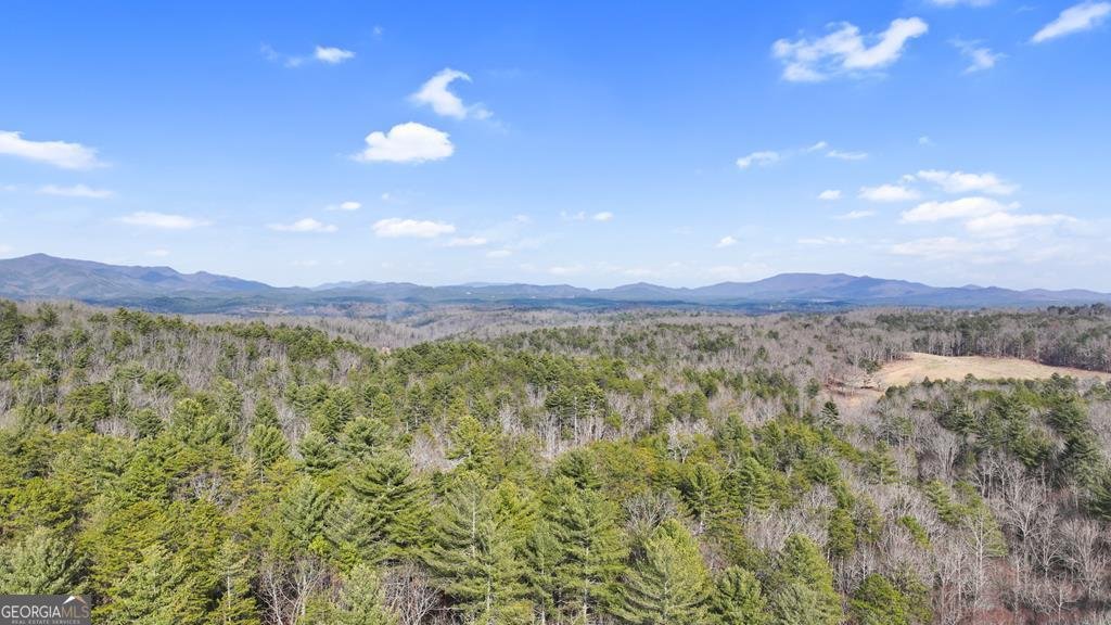 643 White Pine Road Mccaysville - 10