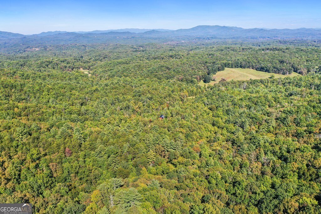 643 White Pine Road Mccaysville - 11