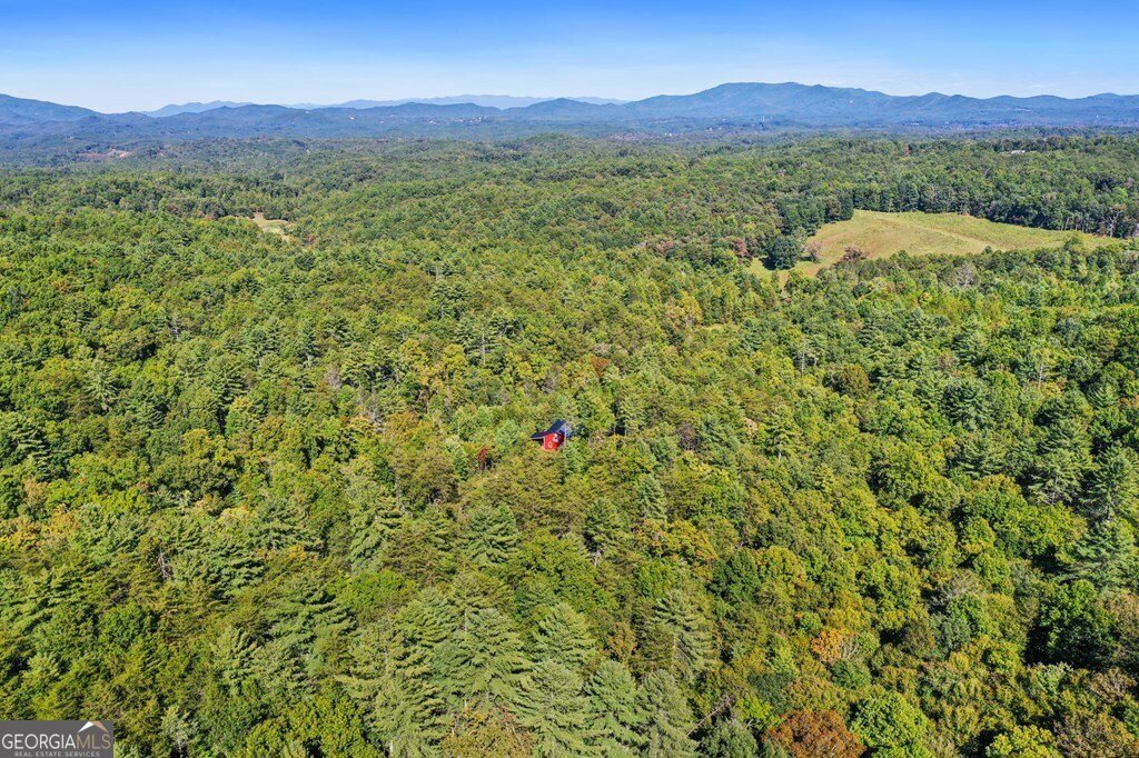 643 White Pine Road Mccaysville - 12
