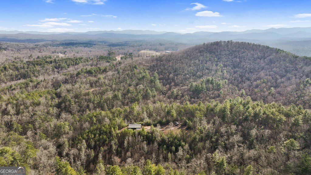 643 White Pine Road Mccaysville - 13