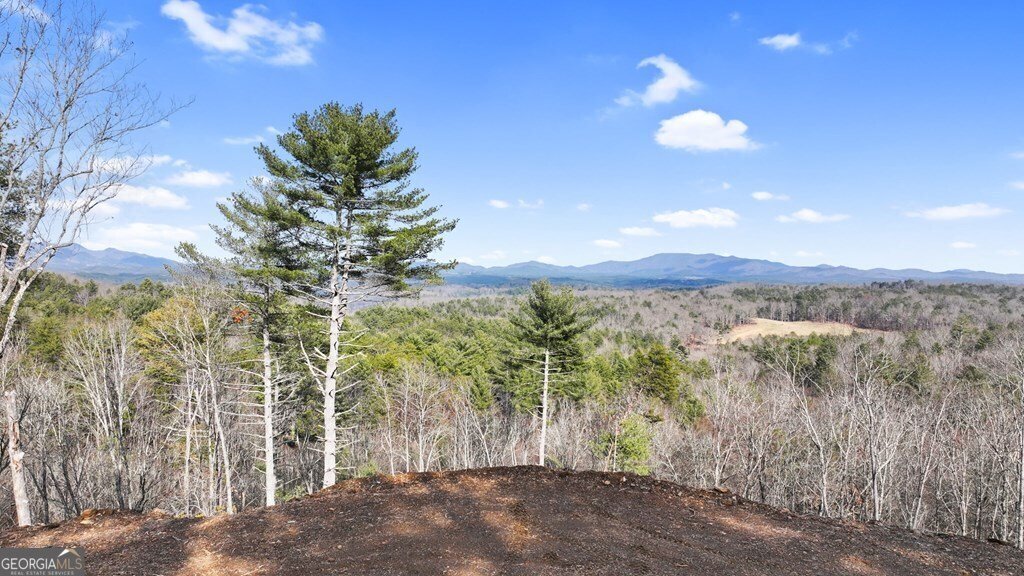 643 White Pine Road Mccaysville - 16