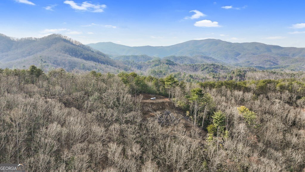 643 White Pine Road Mccaysville - 17