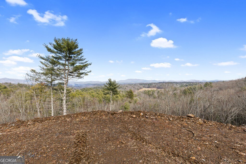 643 White Pine Road Mccaysville - 23