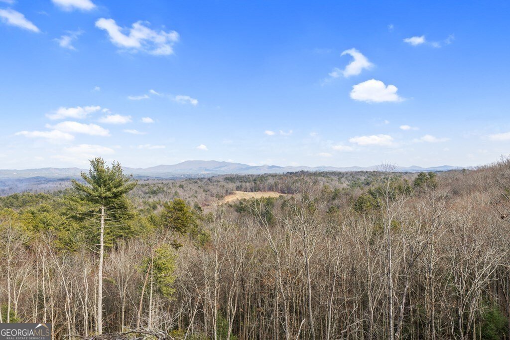 643 White Pine Road Mccaysville - 24