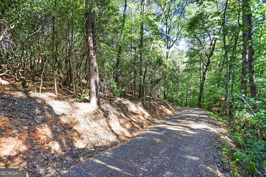 643 White Pine Road Mccaysville - 48