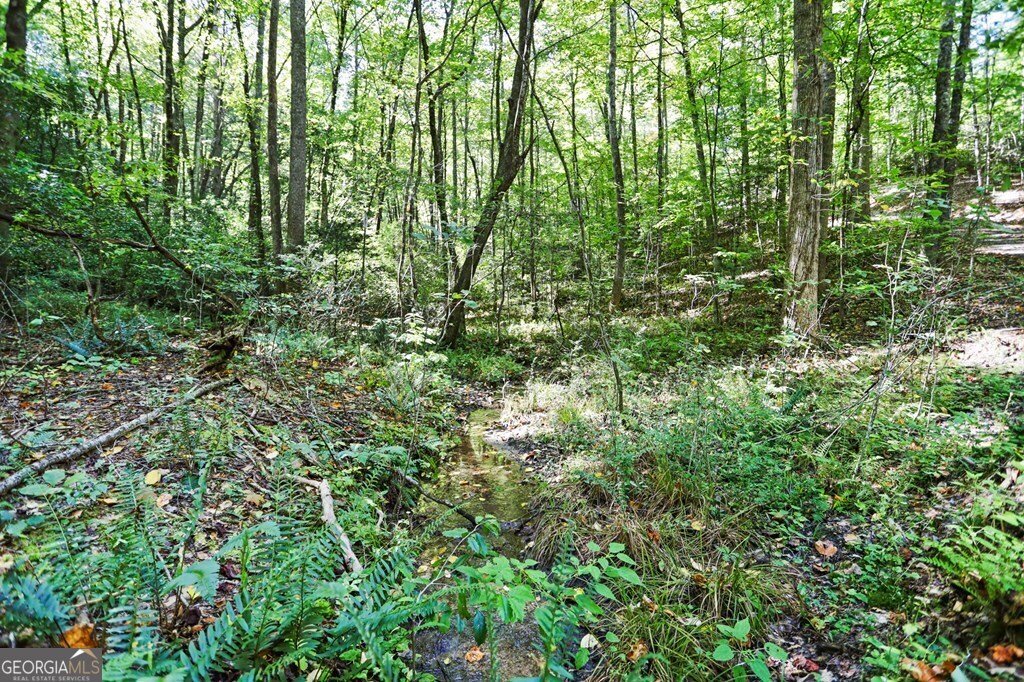 643 White Pine Road Mccaysville - 49