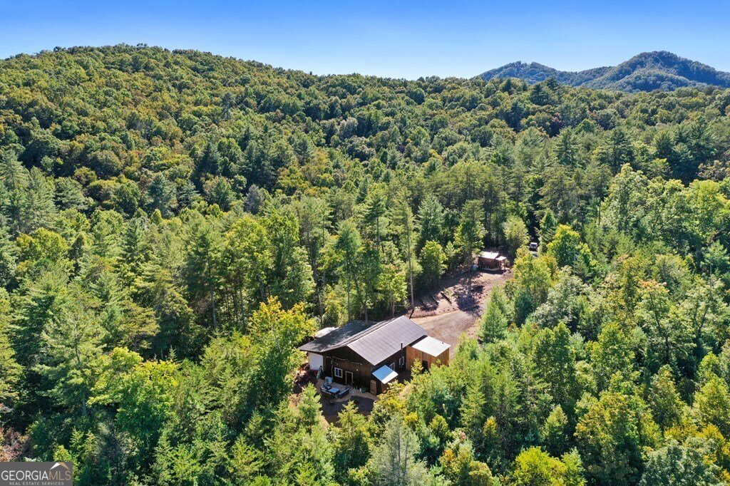 643 White Pine Road Mccaysville - 5