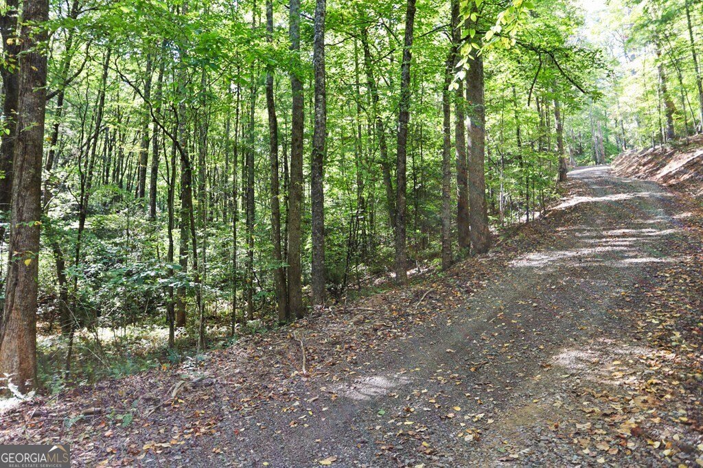 643 White Pine Road Mccaysville - 50