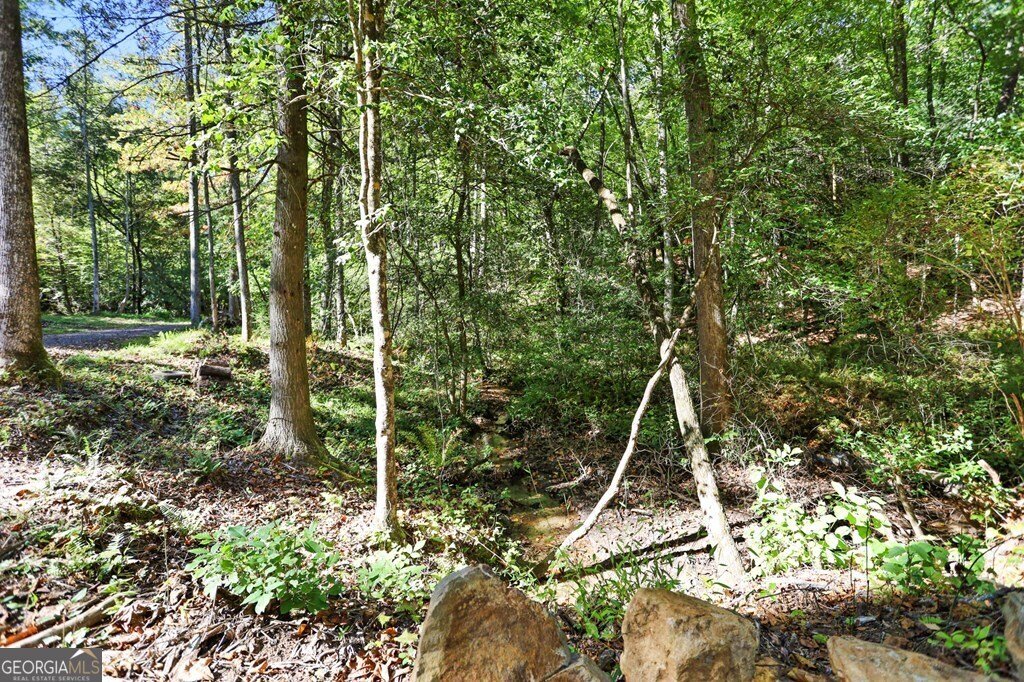 643 White Pine Road Mccaysville - 51